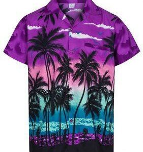 Beautiful Sunset Hawaiian Shirt | For Men & Women | HW5208