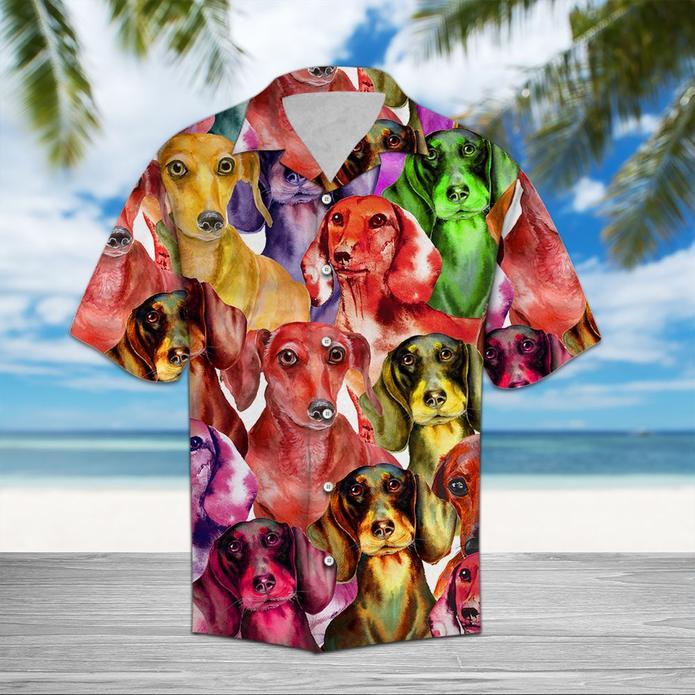 Dachshund Color Hawaiian Shirt | For Men & Women | HW5406